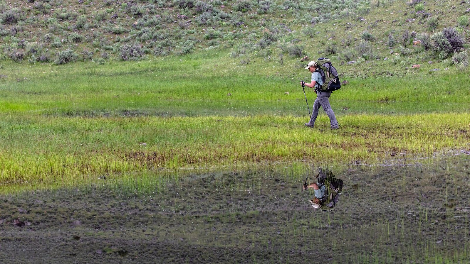 A hiker with a backpack walking a wet backcountry trail near Hellroaring Creek in Yellowstone